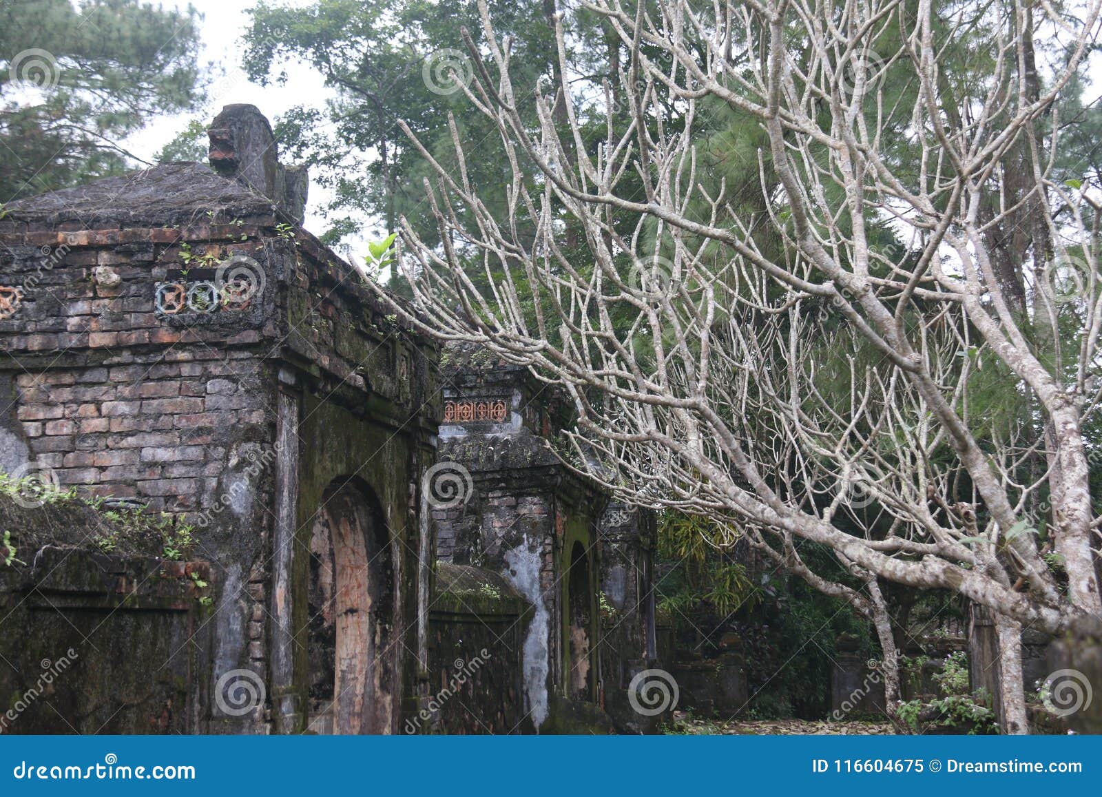 tu hieu pagoda, where thich nhat hanh once lived, hue, vietnam.